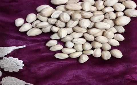 تصویر 4 از خرید پسته فندوقی تازه + قیمت فروش استثنایی